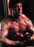 sylvester-stallone-6.jpg